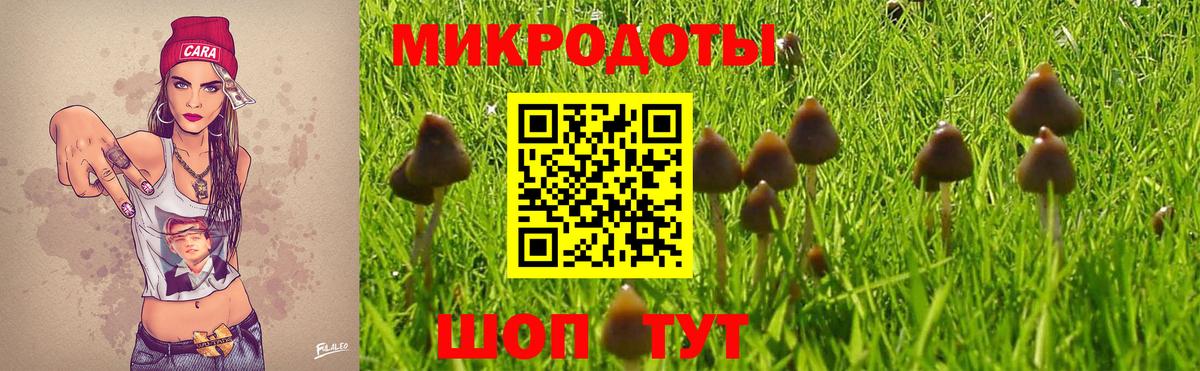 Псилоцибиновые грибы Magic Shrooms Ковров